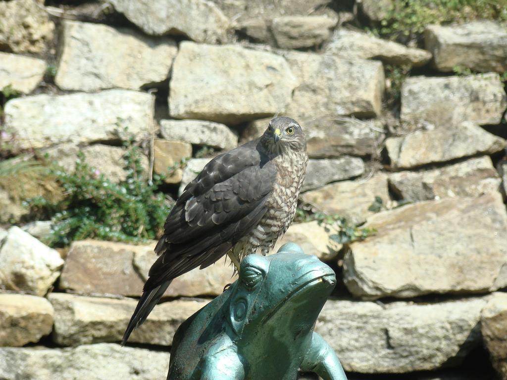 Kernel Bihan Pont-lʼAbbé Buitenkant foto
